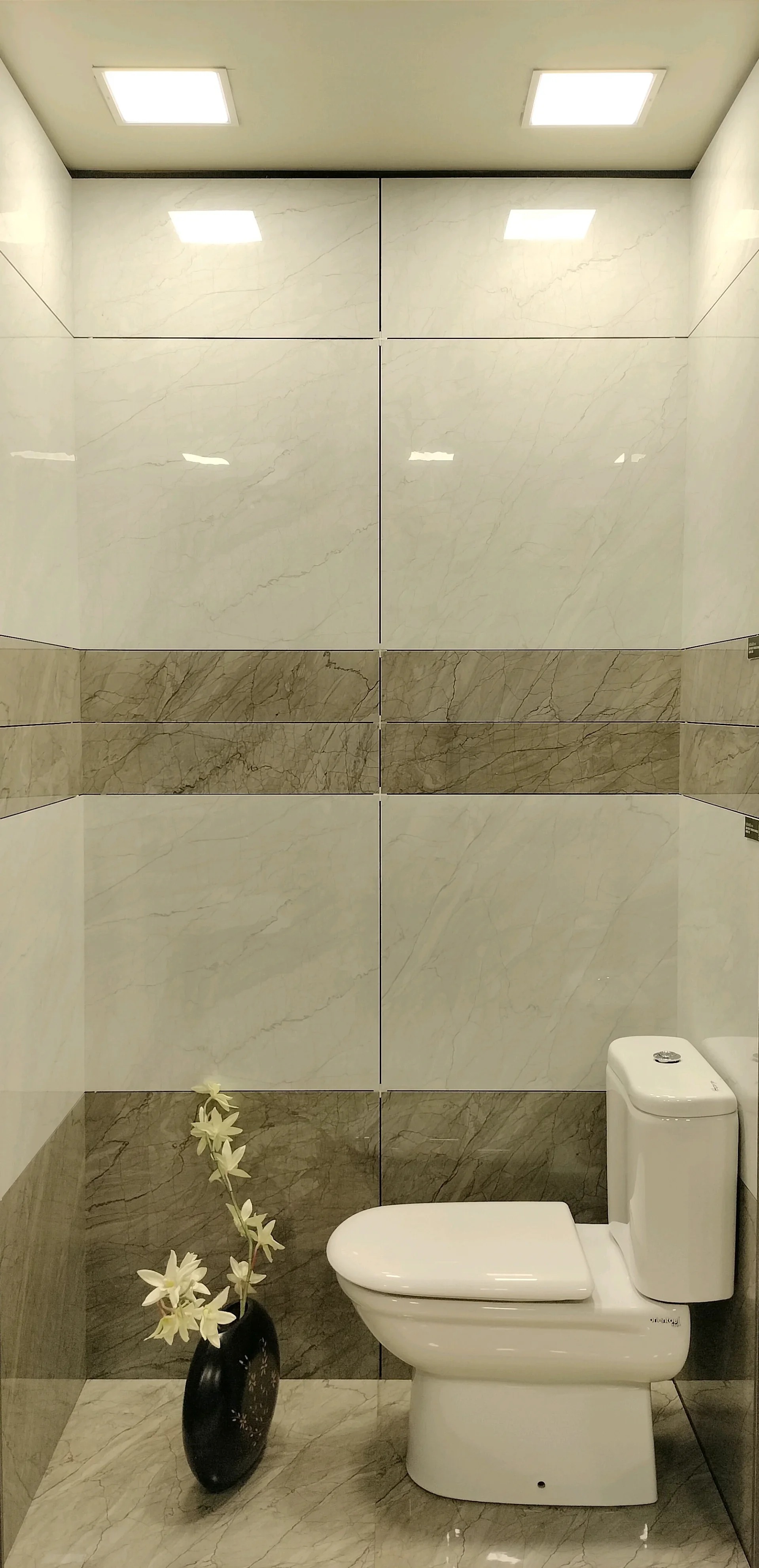 SPIDER MARBLE