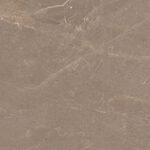 TULIP BROWN - thumb 1