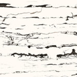 DRAGON WHITE - thumb 3