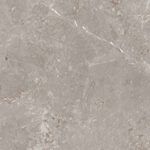 Harmony Dove - thumb 5