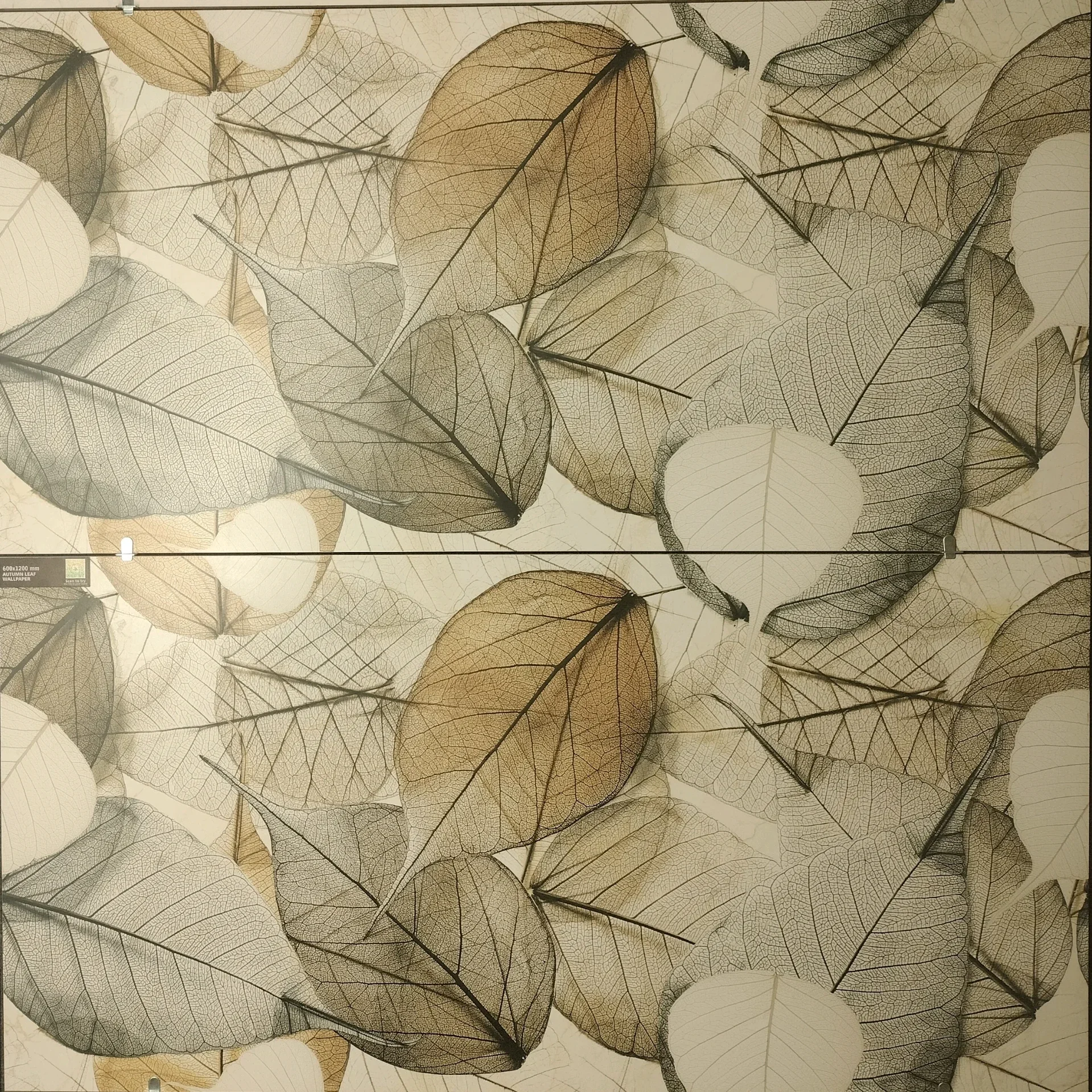 AUTUMIN LEAF WALLPAPER 