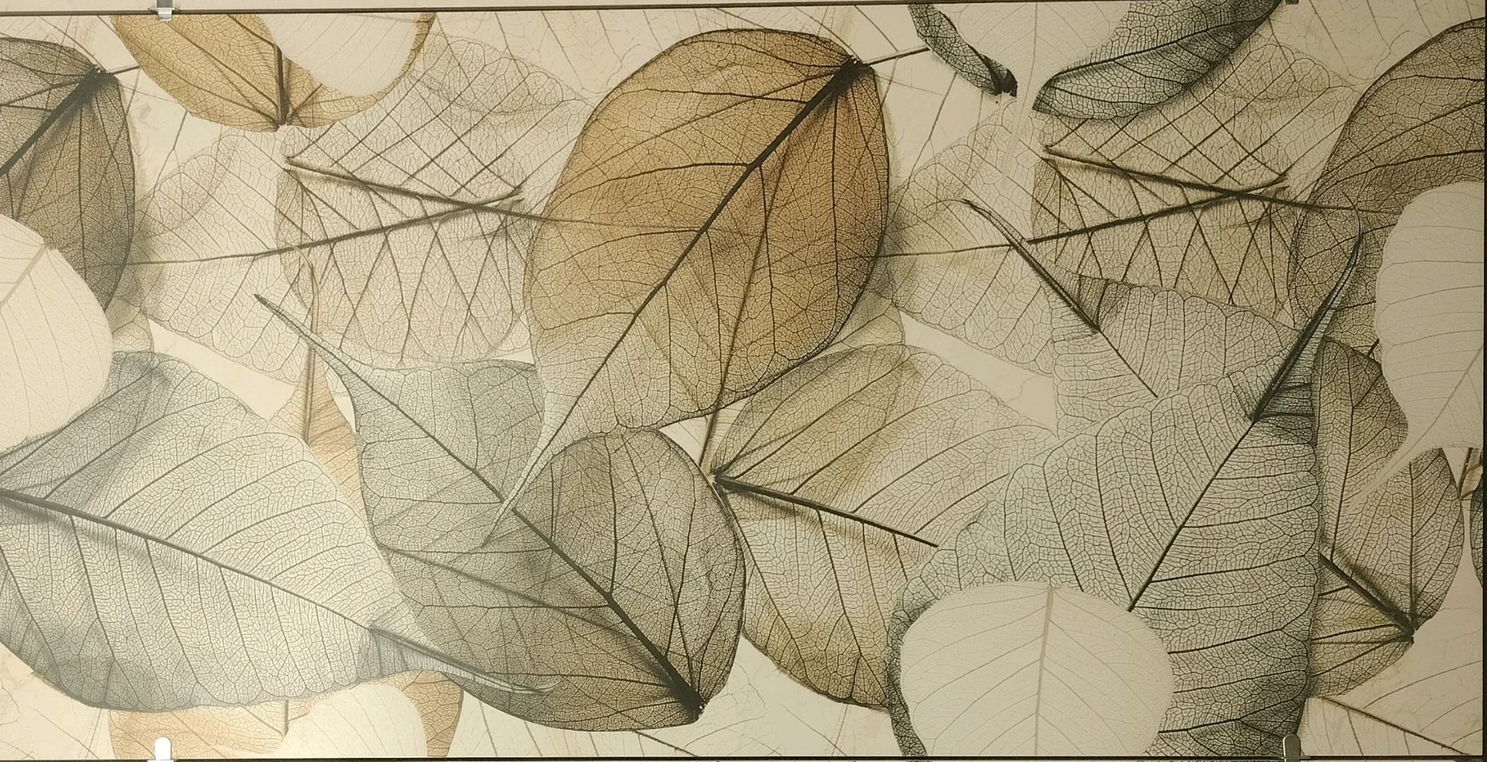 AUTUMIN LEAF WALLPAPER  - thumb 2