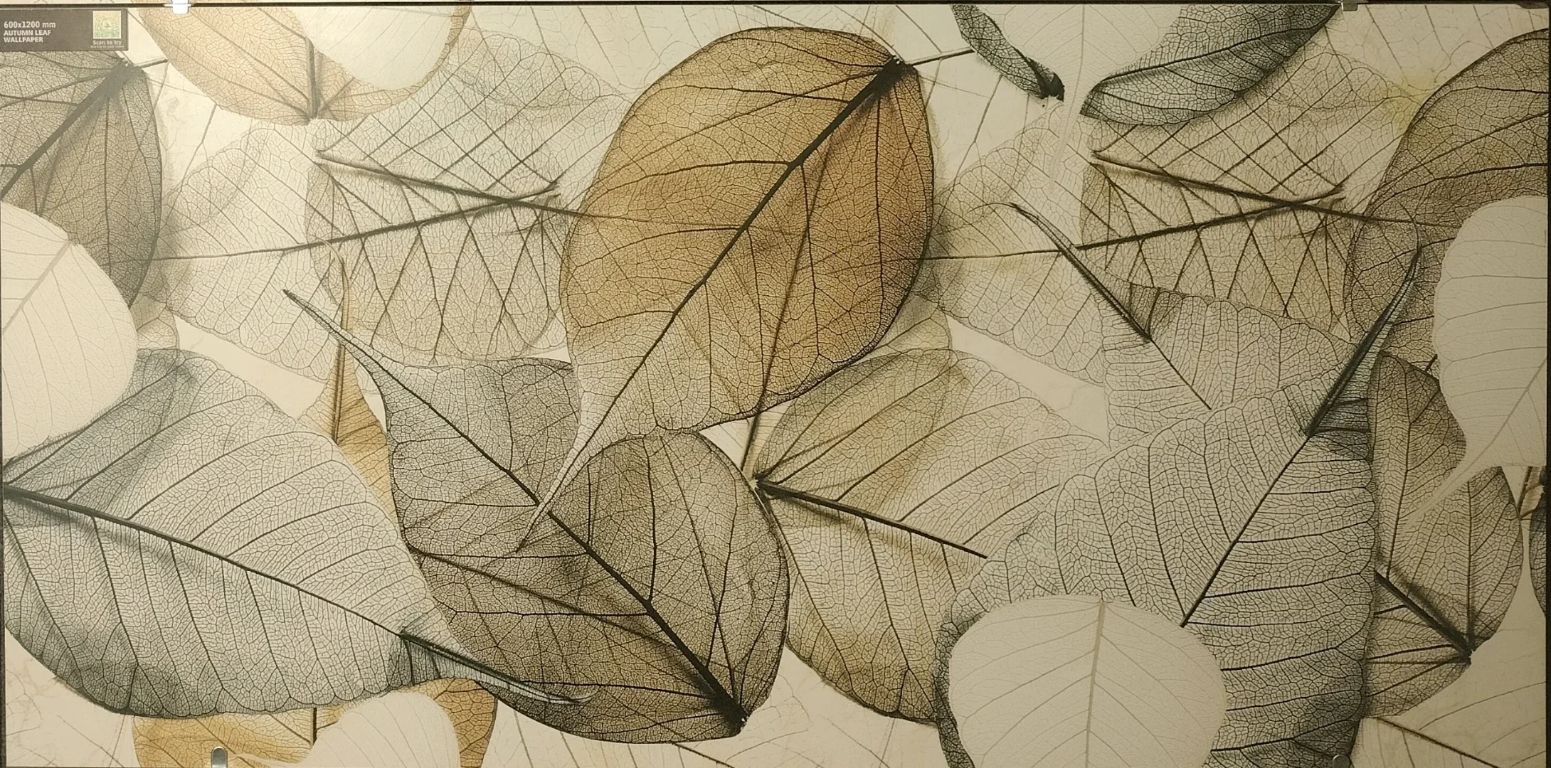 AUTUMIN LEAF WALLPAPER  - thumb 3