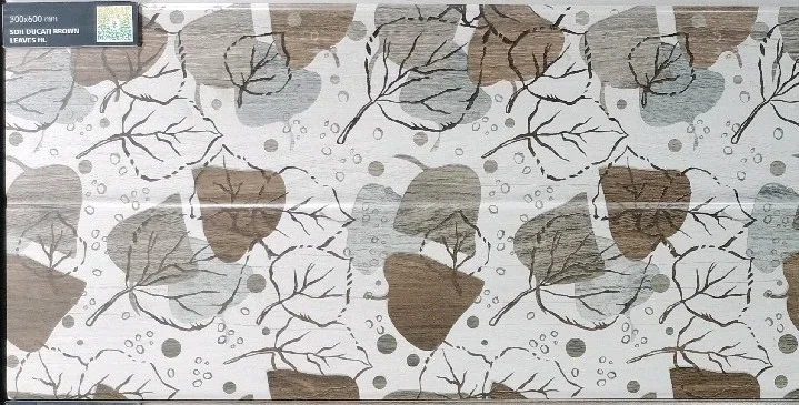 DUCATI BROWN - thumb 5