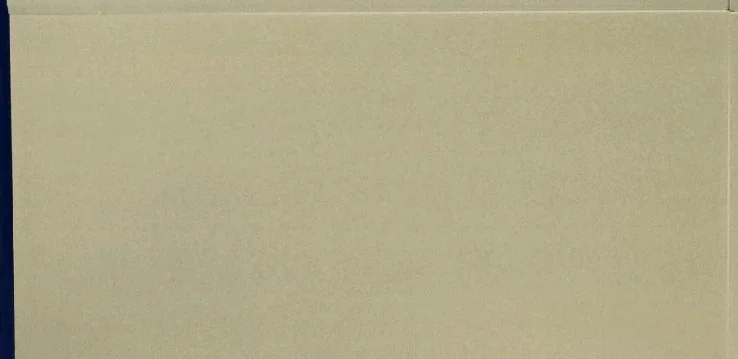 OLIVE GREEN - thumb 3