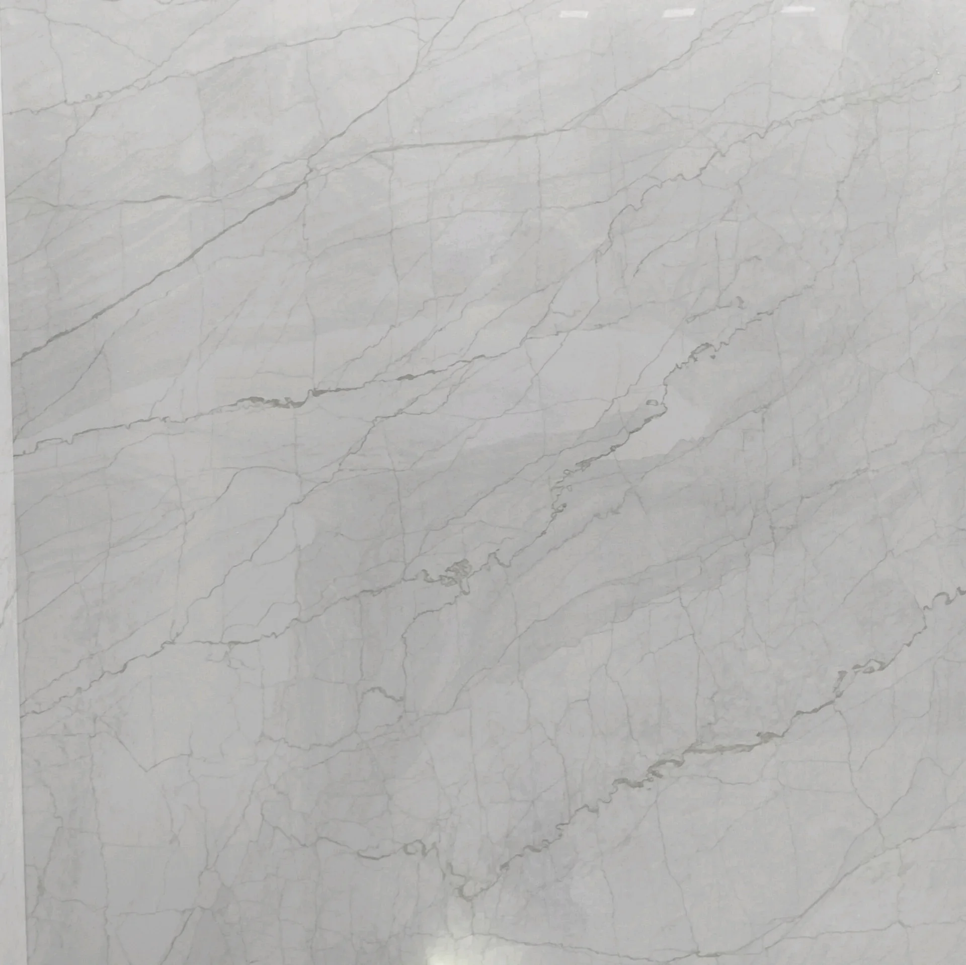 SPIDER MARBLE - thumb 3