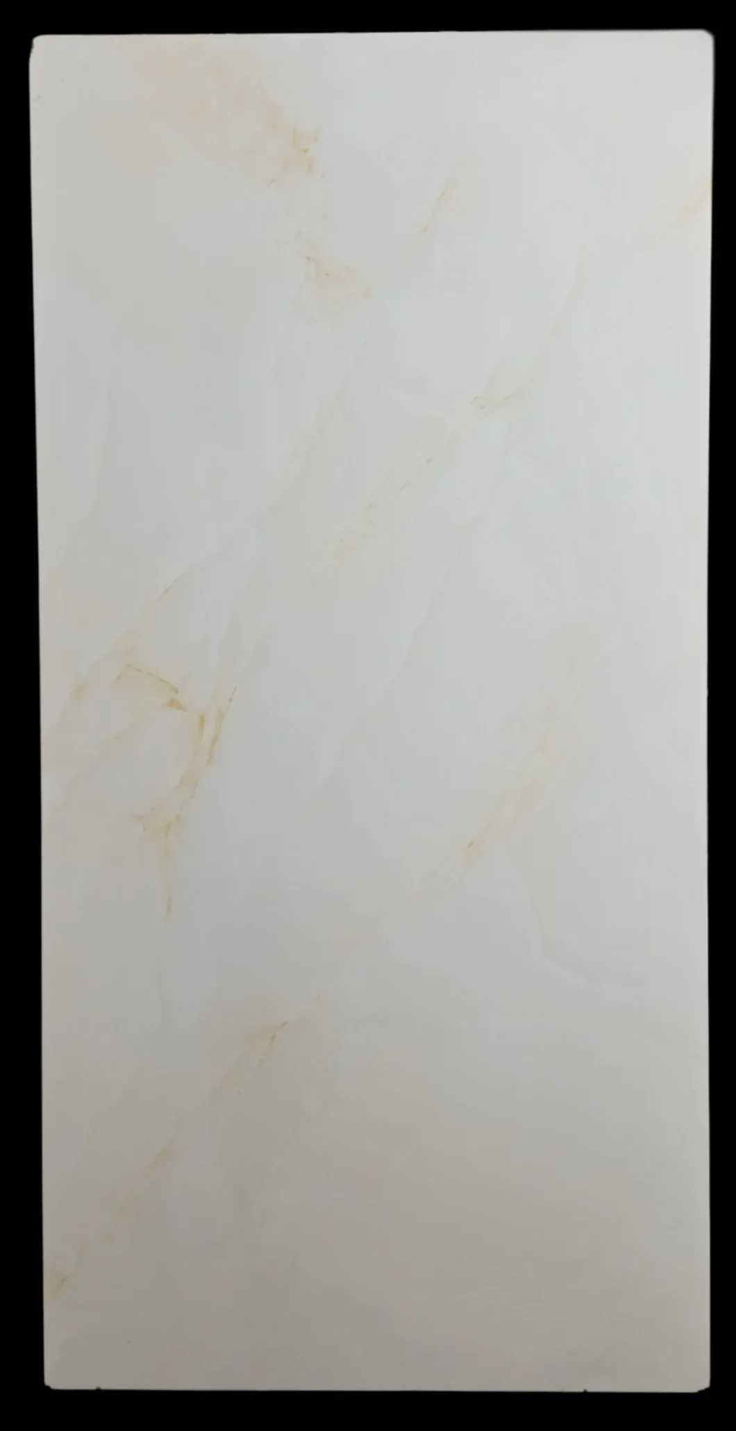 PGVT FOG ONYX BEIGE - thumb 1