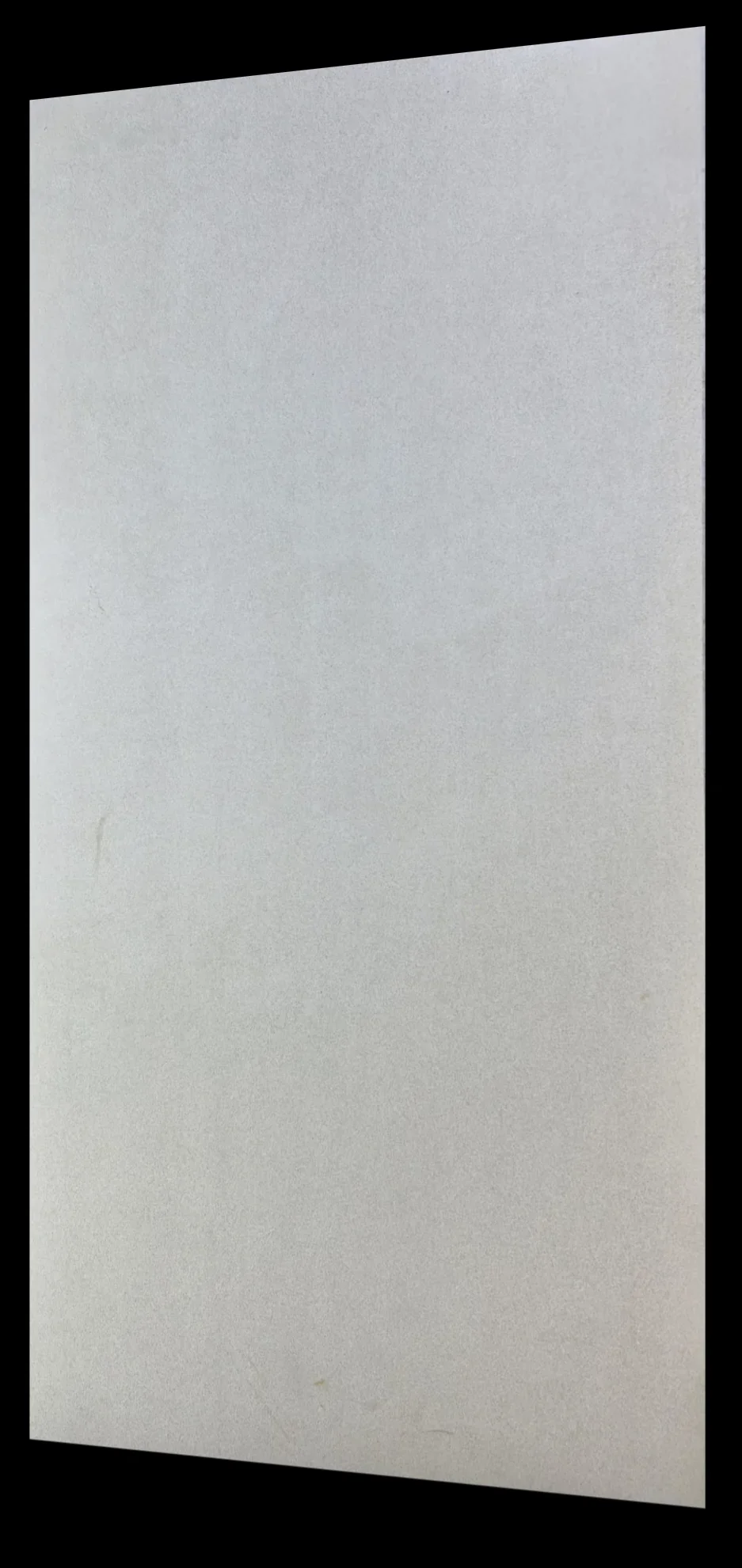 DGVT SAND BEIGE - thumb 6
